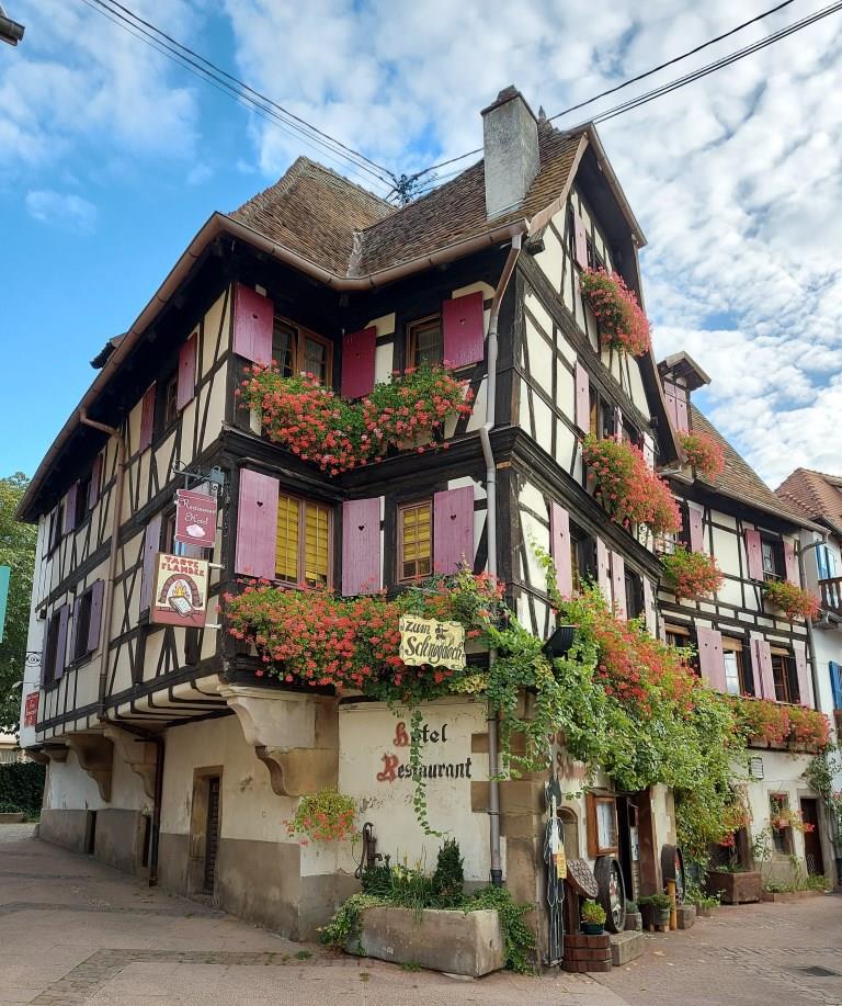 Obernai - 2020